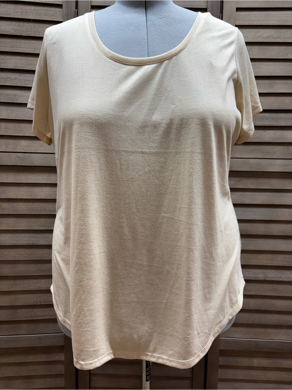 Absolutely Famous Women's Short Sleeve Tee in Cream